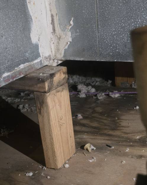 Mold growth visible in the gym attic area